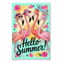 Hola verano lindo flamenco playa vacaciones tropic