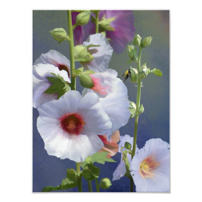 Foto Hollyhocks - Pintura digital - Ampliación de la fo (Frente)