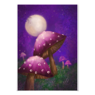 Foto Hongos y luz de la luna