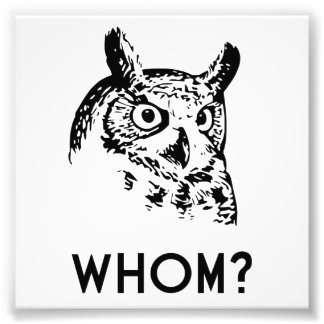 Foto Hoo Who Who Grammar Owl