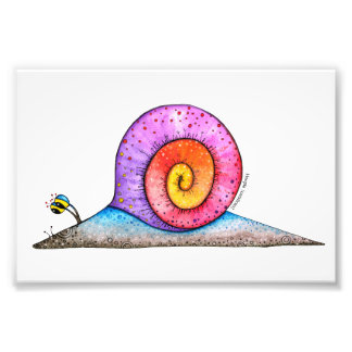 Foto Hoopla Snail