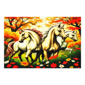 FOTO HORSES PARADISE