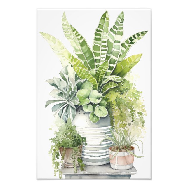 Foto House Plants (Frente)