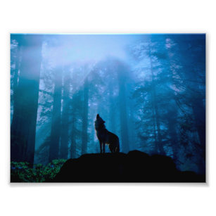Foto Howling Wolf en Wilderness