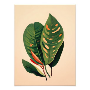 Foto Hoya Art: Paraíso de hojas tropicales