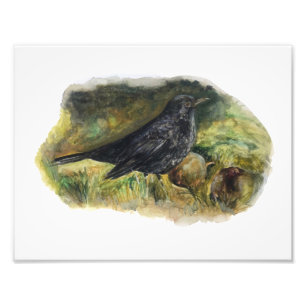 Foto Huella acuarela de Blackbird por Marie Anne Art