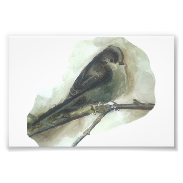 Foto Huella acuática de ave de jardín de cola larga (Frente)