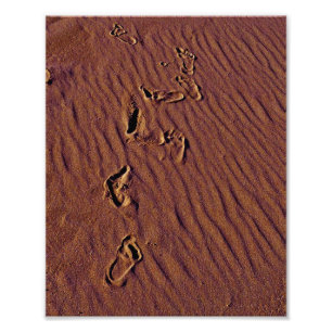 Foto Huellas de playa