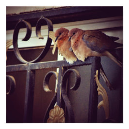 Foto Huevas de invierno