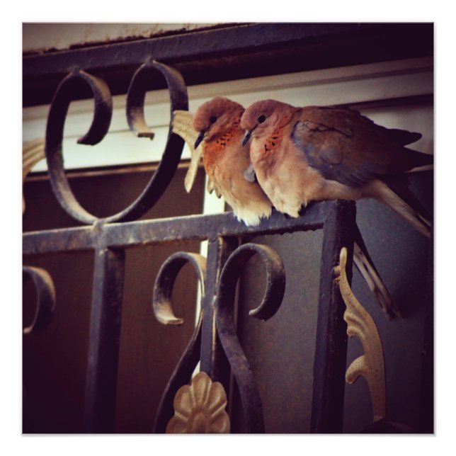 Foto Huevas de invierno (Frente)