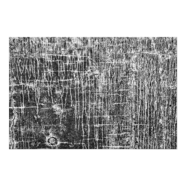 Foto huida de las paredes (Frente)