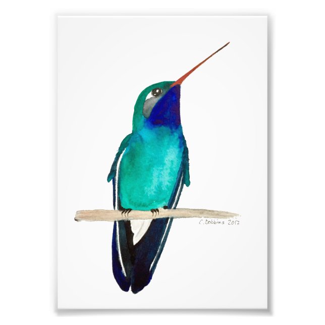 Foto Hummingbird (Frente)