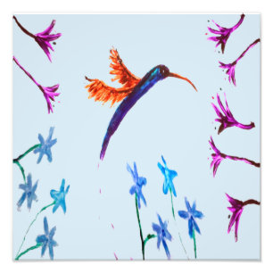 Foto Hummingbird Flowers Floral Bird Art