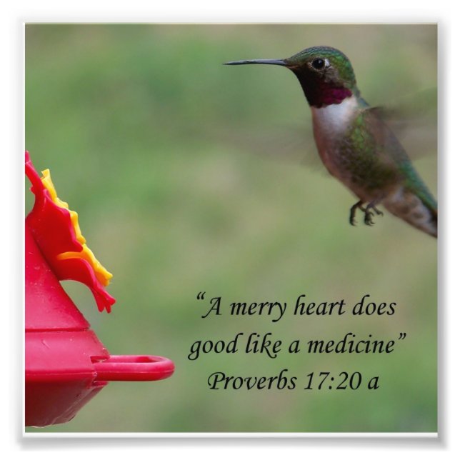 Foto Hummingbird Proverbs 17:20 Biblia Verse Photograph (Frente)