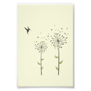 Foto Hummingbird y Dandelion