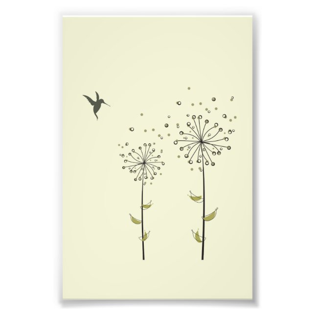 Foto Hummingbird y Dandelion (Frente)