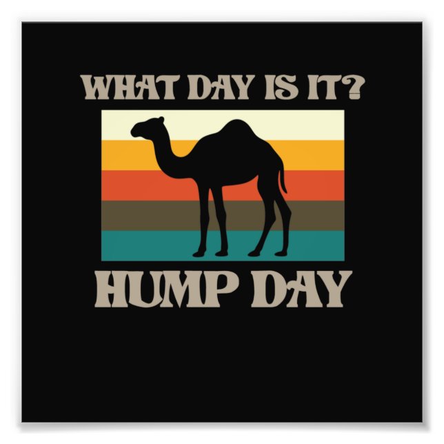 Foto Hump Day Camello Animal Lover Camels Mascota Graph (Frente)
