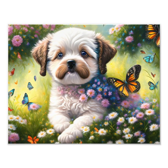 Foto Hund in Blumenwiese mit Schmetterlingen (Frente)