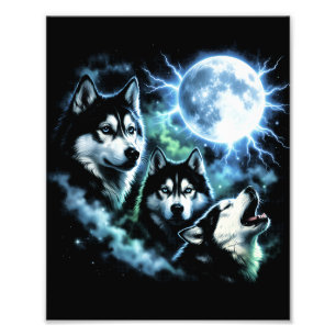 Foto Husky Siberiano Aullando a la Luna – Cielo Nocturn