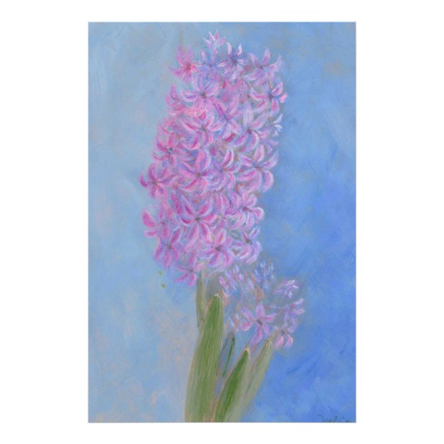 Foto Hyacinth Azul Lilac (Frente)