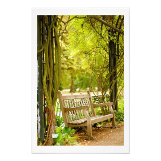 Foto Hyde Park - Park Bench