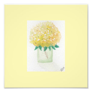 Foto Hydrangea amarilla
