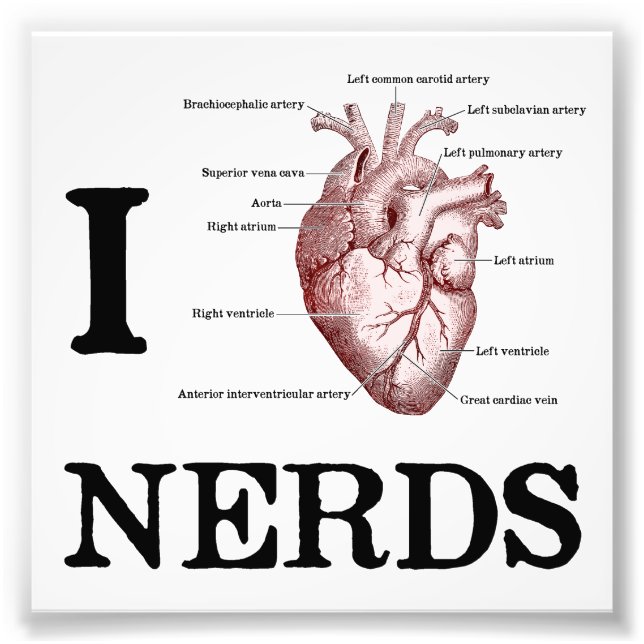 Foto I Nerds Heart (Frente)