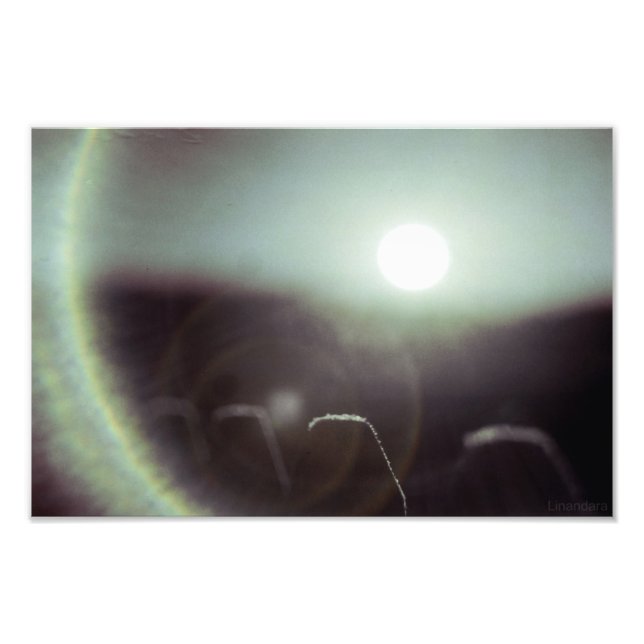 Foto Icy Sun de Alexandra Cook (Frente)