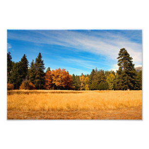 Foto Idyllwild - Pine Cove