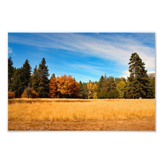 Foto Idyllwild - Pine Cove (Frente)