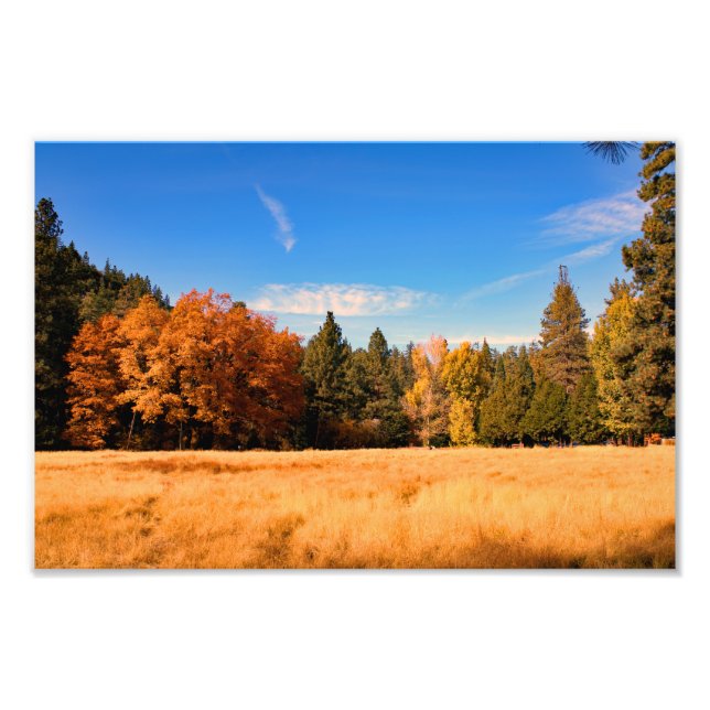Foto Idyllwild - Pine Cove (Frente)