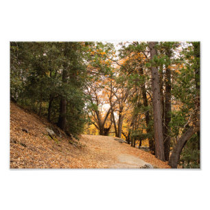 Foto Idyllwild - Pine Cove