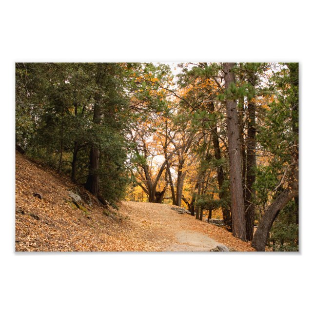 Foto Idyllwild - Pine Cove (Frente)