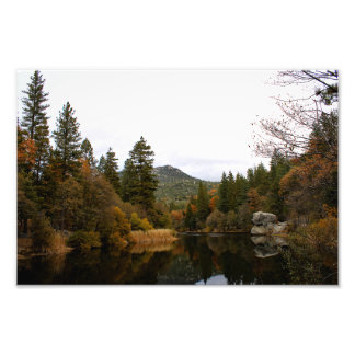 Foto Idyllwild - Pine Cove