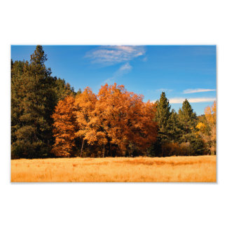 Foto Idyllwild - Pine Cove