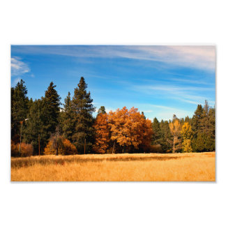 Foto Idyllwild - Pine Cove