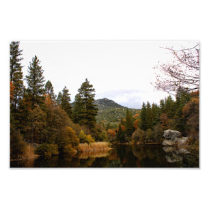 Foto Idyllwild - Pine Cove