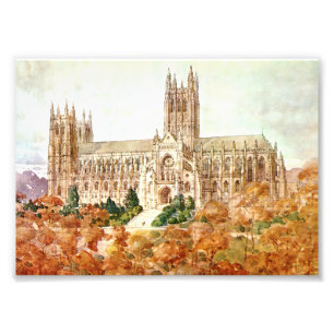 Foto Iglesia Catedral de San Pedro y San Pablo