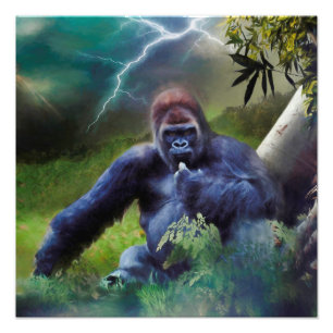 FOTO ILUMINACIÓN DE LA JUNGLE DE SILVERBACK GORILLA