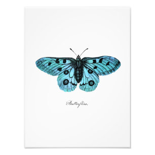 Foto Ilustracion azul verde azulado de la mariposa del