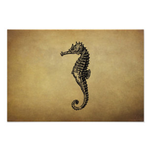 Foto Ilustracion de caballito de mar de época