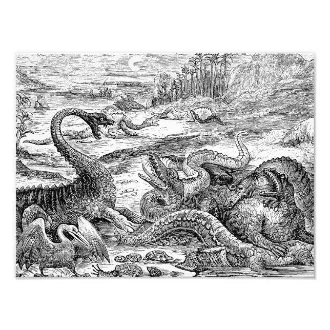 Foto Ilustracion de dinosaurios de la época de 1800 - D (Frente)