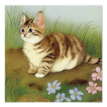 Ilustracion de gatito vintage con flores