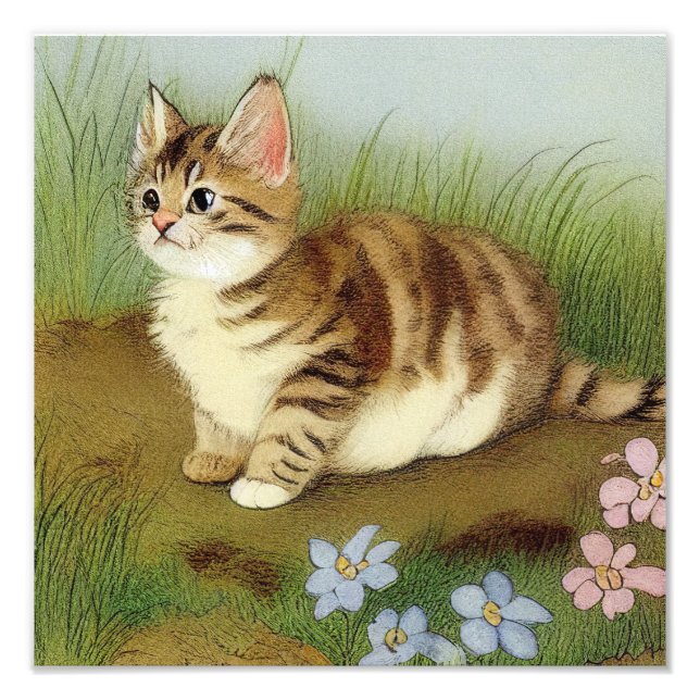 Foto Ilustracion de gatito vintage con flores (Frente)
