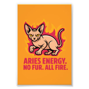 Foto Ilustración de gato sphynx de fuego de la energía 