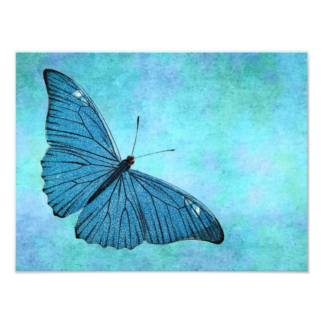 Foto Ilustracion de mariposa azul Verde azulada de époc (Frente)