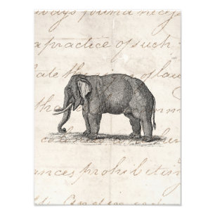 Foto Ilustracion del elefante de los 1800s del vintage