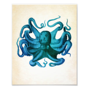 Foto Ilustracion Octopus de color agua