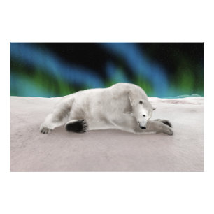 Foto Ilustración pacífica de oso polar ártico en la nat