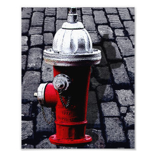 Foto Ilustracion Red Fire Hydrant NYC